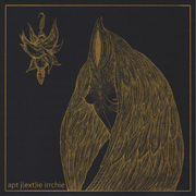 irr + ajr - Night Wearing Feathers LP cvr