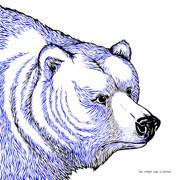 irr - The Other Side Is Blank cvr