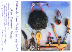 ArptVerjeneppTonxtie cvr