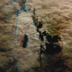 irr. app. (ext.) 'Kreiselwelle'